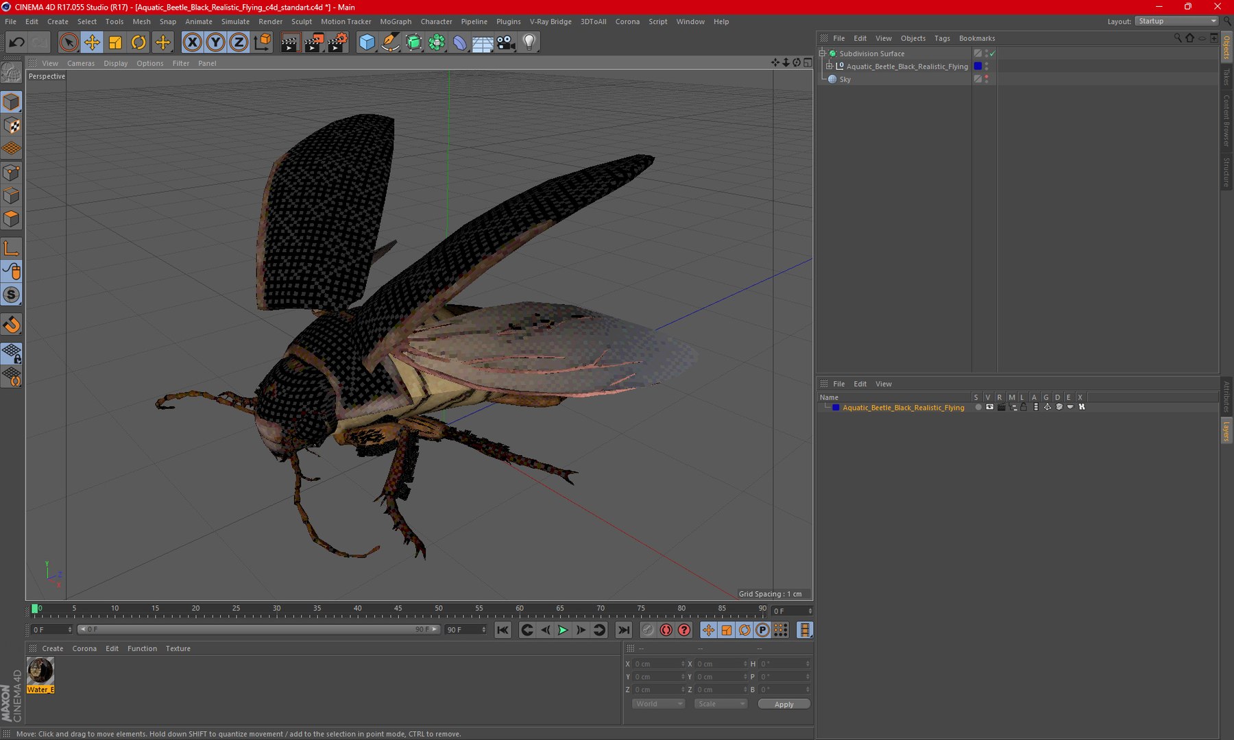 Aquatic Beetle Black Realistic Flying 3D model https://p.turbosquid.com/ts-thumb/1i/R3o249/fw/aquaticbeetleblackrealisticflyingvray3dmodel028/jpg/1718288818/1920x1080/fit_q87/31b3c43912364dbfc36fd3114d72098f7fd35515/aquaticbeetleblackrealisticflyingvray3dmodel028.jpg