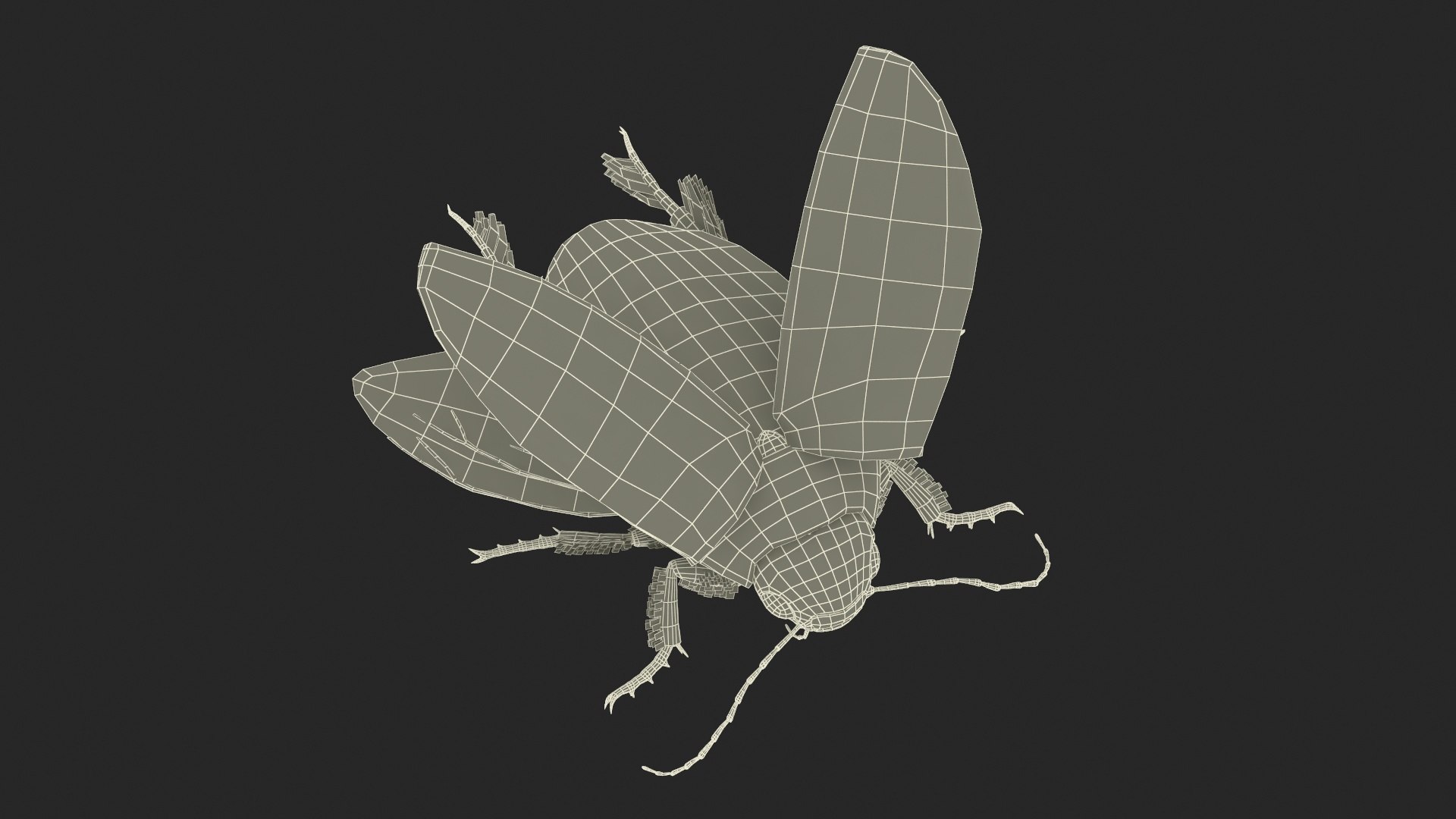 Aquatic Beetle Black Realistic Flying 3D model https://p.turbosquid.com/ts-thumb/1i/R3o249/gQ/aquaticbeetleblackrealisticflyingvray3dmodel034/jpg/1718288840/1920x1080/fit_q87/4bbe59bb00b4fb4ab036274f834c43e89f6395d0/aquaticbeetleblackrealisticflyingvray3dmodel034.jpg
