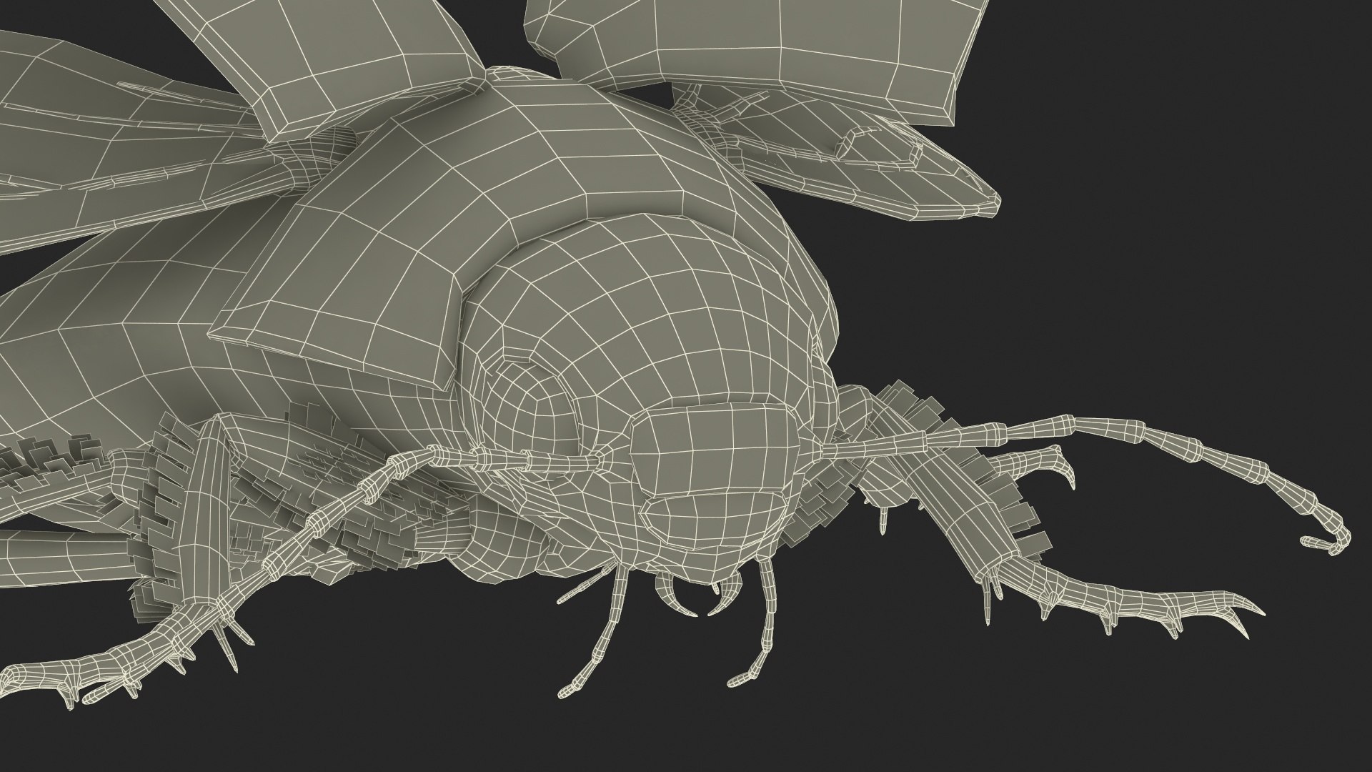 Aquatic Beetle Black Realistic Flying 3D model https://p.turbosquid.com/ts-thumb/1i/R3o249/rp/aquaticbeetleblackrealisticflyingvray3dmodel036/jpg/1718288847/1920x1080/fit_q87/7e0c3e93178a34300dd3f9f533aea80f3f90ebc8/aquaticbeetleblackrealisticflyingvray3dmodel036.jpg