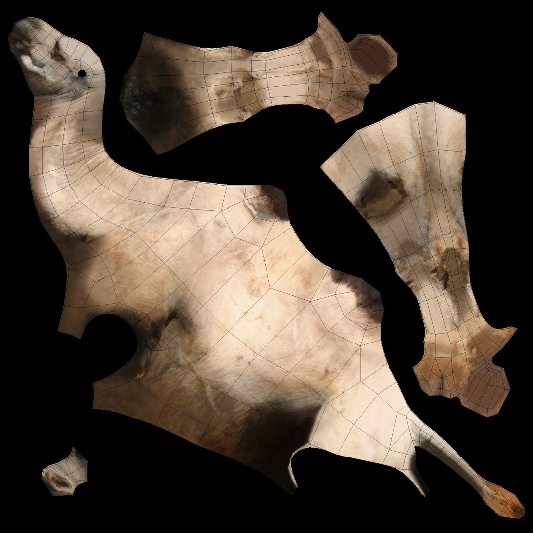 camel 3D model https://p.turbosquid.com/ts-thumb/1i/ae0dDD/ecW9p6VU/camel_z_01/jpg/1498733569/1920x1080/fit_q87/0910f76540eb8abca34970865631f9bb3a72f4fd/camel_z_01.jpg