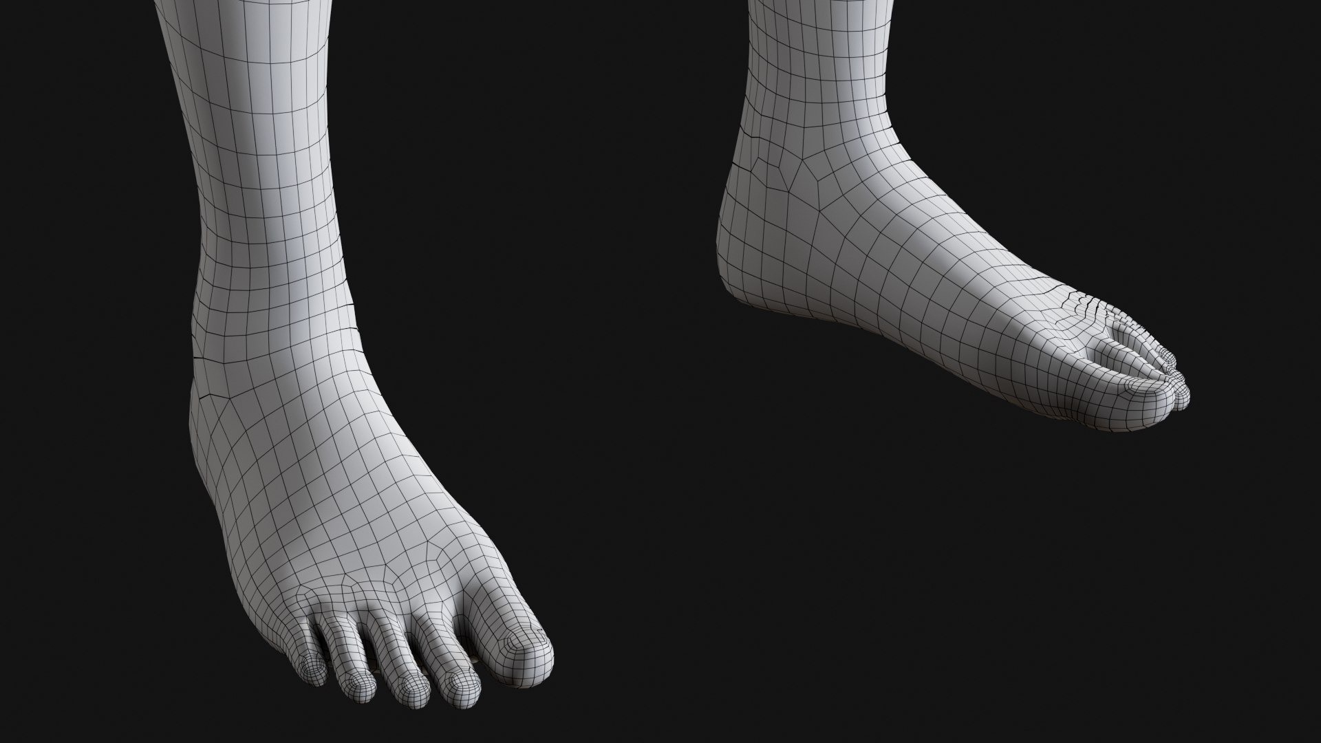Female Complete Anatomy 3D model https://p.turbosquid.com/ts-thumb/1i/e6jopc/0v/w18/jpg/1624350396/1920x1080/fit_q87/53659393f2c1af2f6613752de06bc887199db360/w18.jpg