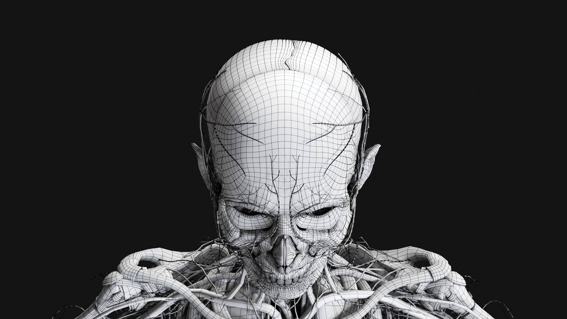Female Complete Anatomy 3D model https://p.turbosquid.com/ts-thumb/1i/e6jopc/50/w34/jpg/1624350673/1920x1080/fit_q87/bd0a863738af119ab91183c1581090e44d8bf5a9/w34.jpg