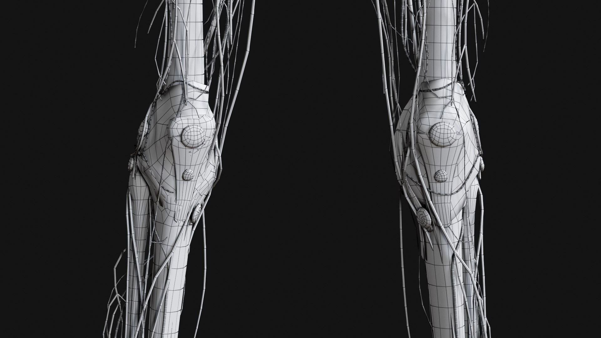 Female Complete Anatomy 3D model https://p.turbosquid.com/ts-thumb/1i/e6jopc/98/w38/jpg/1624350673/1920x1080/fit_q87/362318b6c1c745c444dd5d26958945cf55654c12/w38.jpg