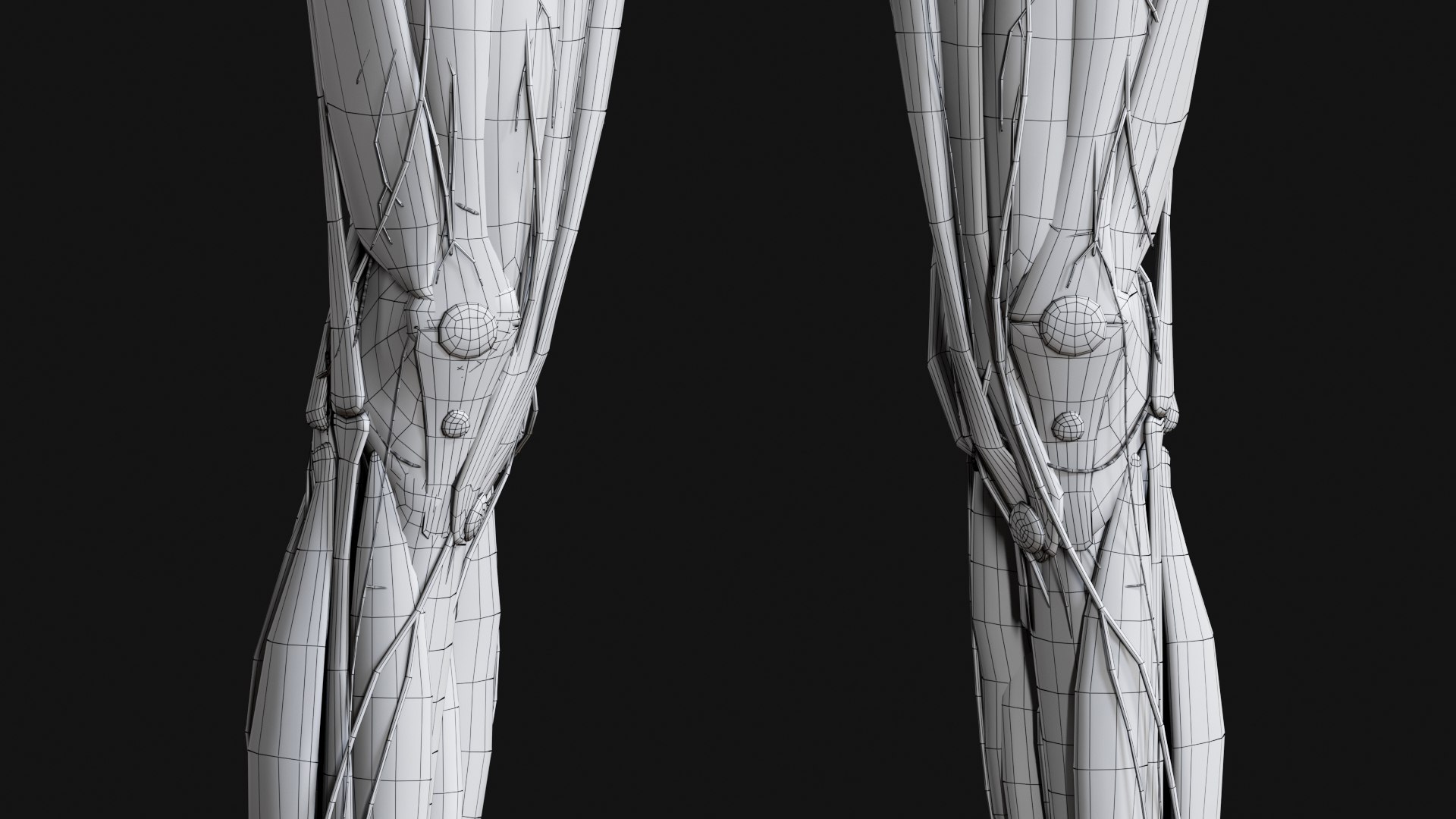 Female Complete Anatomy 3D model https://p.turbosquid.com/ts-thumb/1i/e6jopc/Eq/w27/jpg/1624350421/1920x1080/fit_q87/98441332ea69210fbdfefab6a6862f79a087e65e/w27.jpg