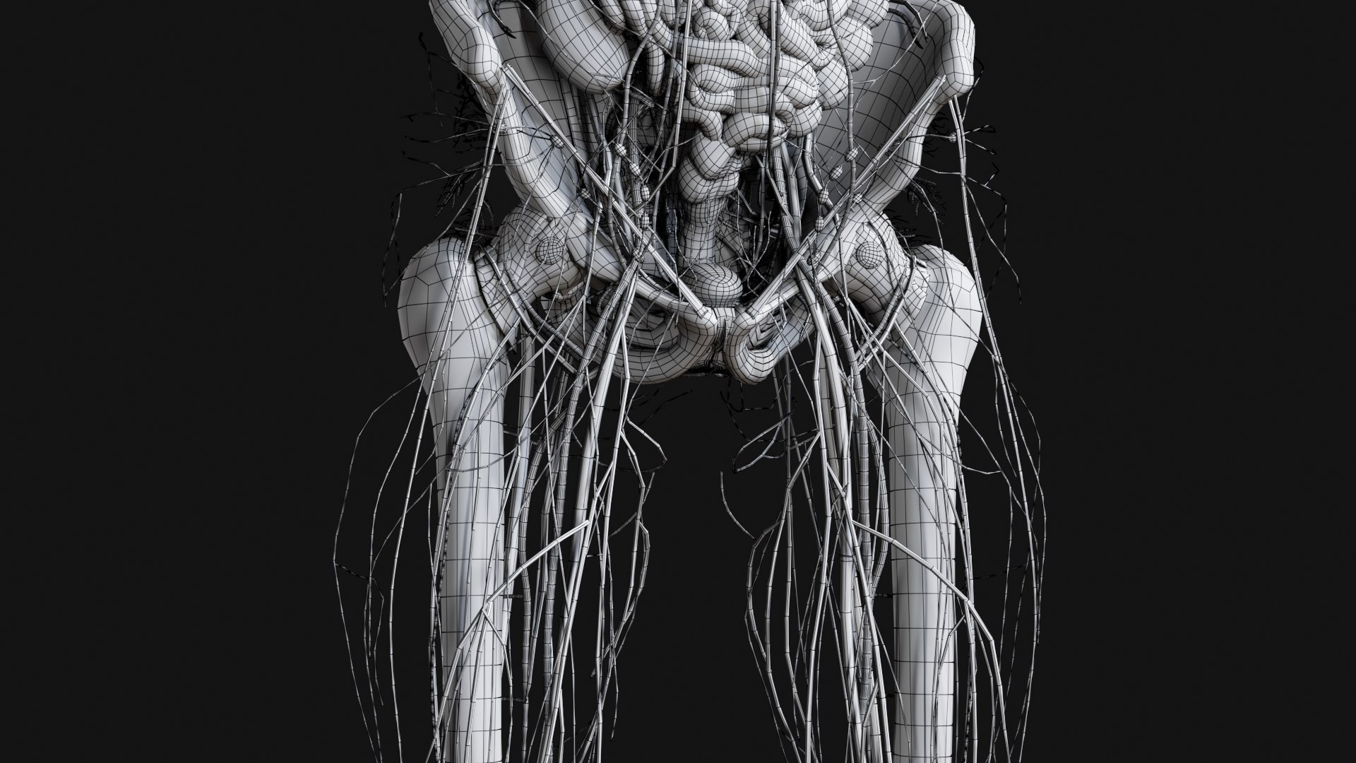 Female Complete Anatomy 3D model https://p.turbosquid.com/ts-thumb/1i/e6jopc/Ov/w32/jpg/1624350677/1920x1080/fit_q87/d25e6270ecec4089b8809270436d688f6e18dc4f/w32.jpg
