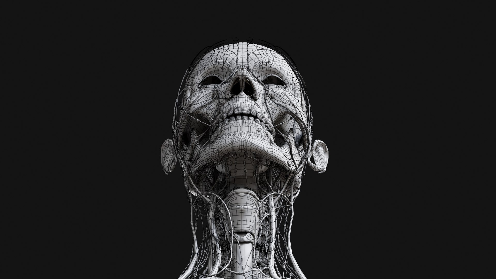 Female Complete Anatomy 3D model https://p.turbosquid.com/ts-thumb/1i/e6jopc/QC/w33/jpg/1624350670/1920x1080/fit_q87/26c74b987827040f9c899f35f22e50f9593e1856/w33.jpg