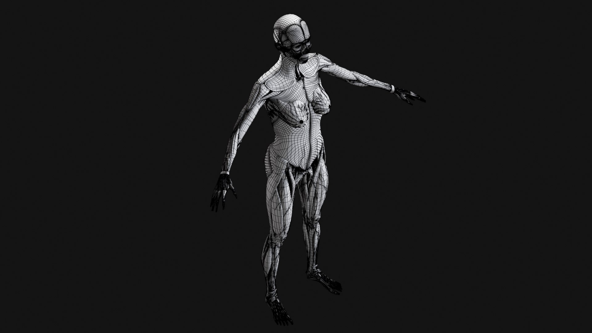 Female Complete Anatomy 3D model https://p.turbosquid.com/ts-thumb/1i/e6jopc/RC/w26/jpg/1624350420/1920x1080/fit_q87/690cbbc1a0dfb641bcbc60ba2756136ac1804439/w26.jpg