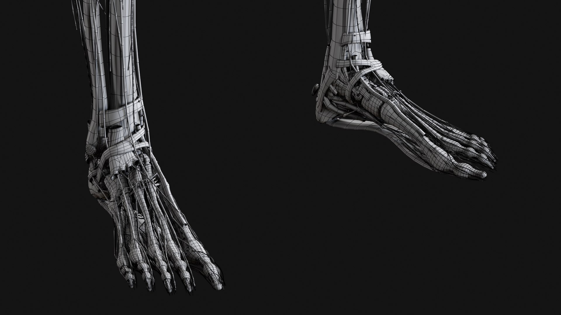 Female Complete Anatomy 3D model https://p.turbosquid.com/ts-thumb/1i/e6jopc/RF/w39/jpg/1624350671/1920x1080/fit_q87/71ed24eaff985d71a3d853bc43a823c52e596b10/w39.jpg