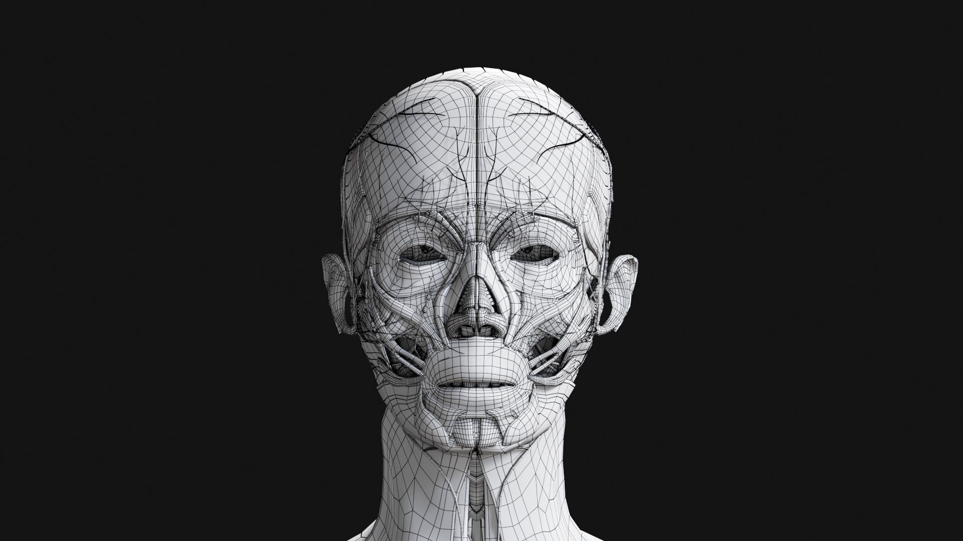 Female Complete Anatomy 3D model https://p.turbosquid.com/ts-thumb/1i/e6jopc/TZ/w21/jpg/1624350419/1920x1080/fit_q87/d28c8c0ea2102c50103ac3dd3e4e2362a03b2e32/w21.jpg