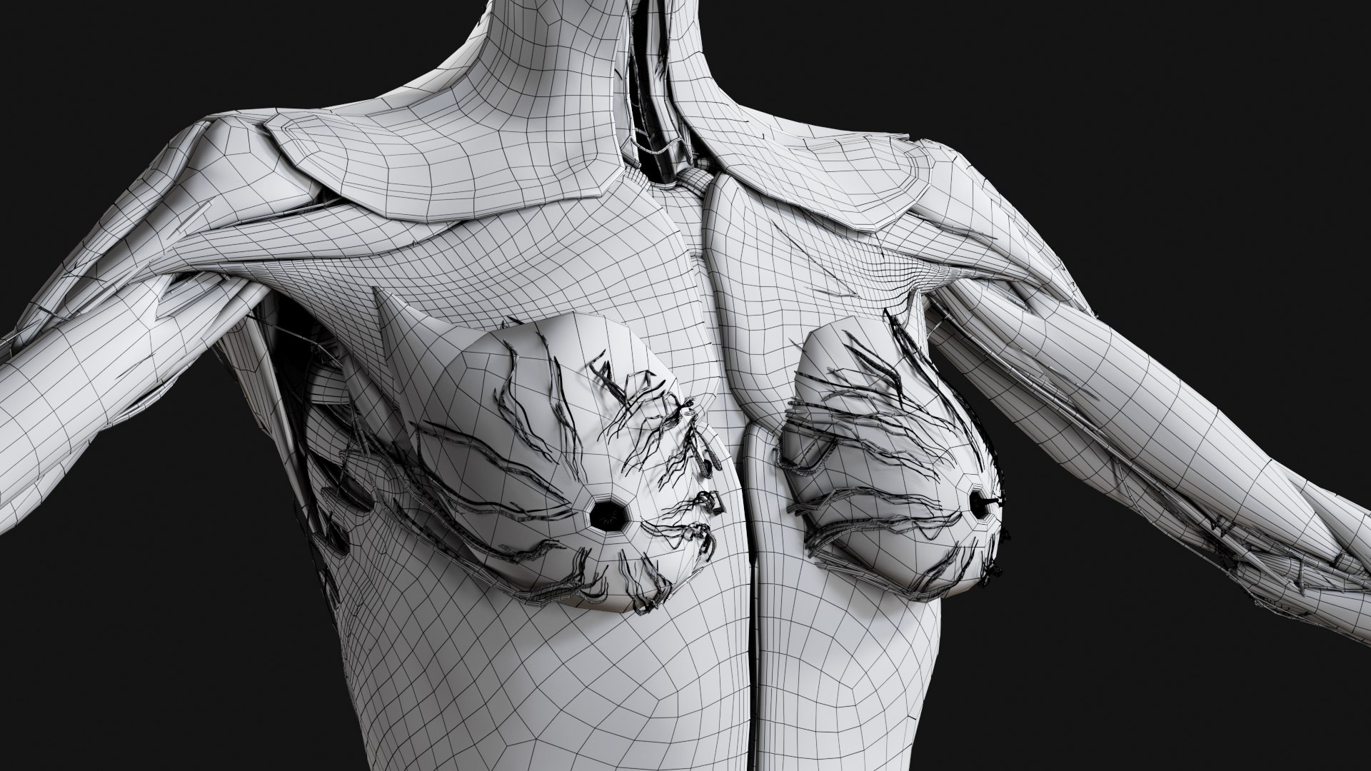 Female Complete Anatomy 3D model https://p.turbosquid.com/ts-thumb/1i/e6jopc/Tg/w23/jpg/1624350424/1920x1080/fit_q87/9e45bbc05e51f30af3a78ff541067cc050ce3b47/w23.jpg
