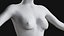 Female Complete Anatomy 3D model