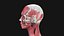 Anatomie complète féminine