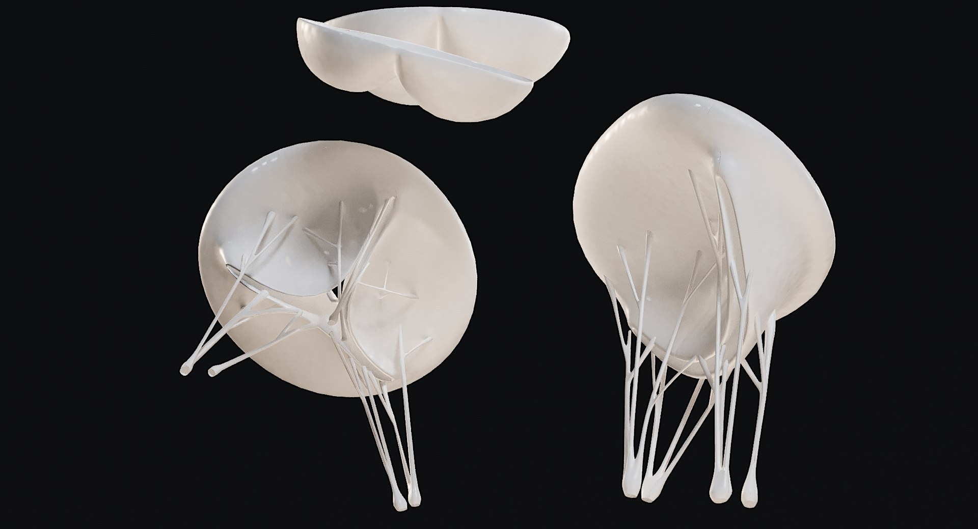Female Complete Anatomy 3D model https://p.turbosquid.com/ts-thumb/1i/e6jopc/eT/man_heart14/jpg/1624350235/1920x1080/fit_q87/d2d6d305ef37e38b18747cb56c193e1fe94f7de9/man_heart14.jpg