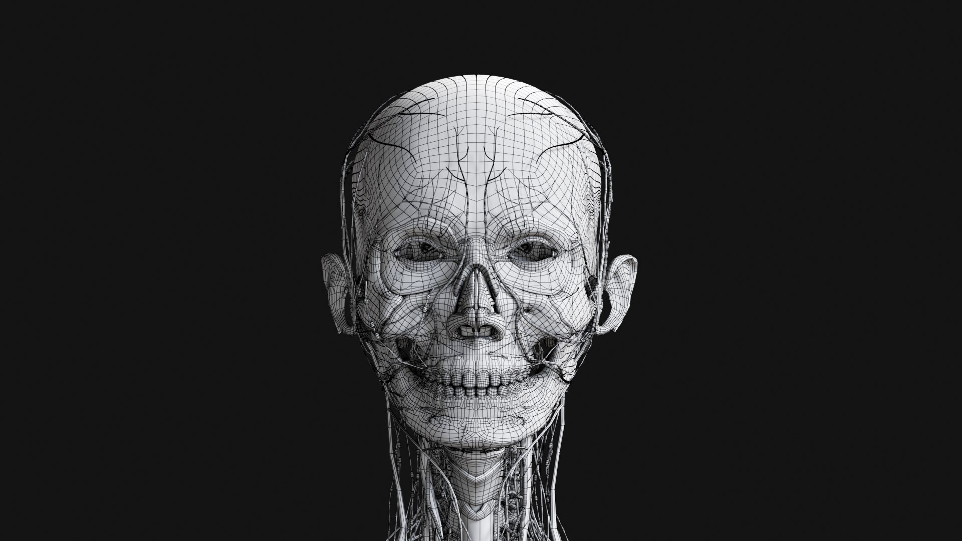 Female Complete Anatomy 3D model https://p.turbosquid.com/ts-thumb/1i/e6jopc/gJ/w31/jpg/1624350670/1920x1080/fit_q87/afa08b6ef377857defa509af11b3c7fe49978ee2/w31.jpg