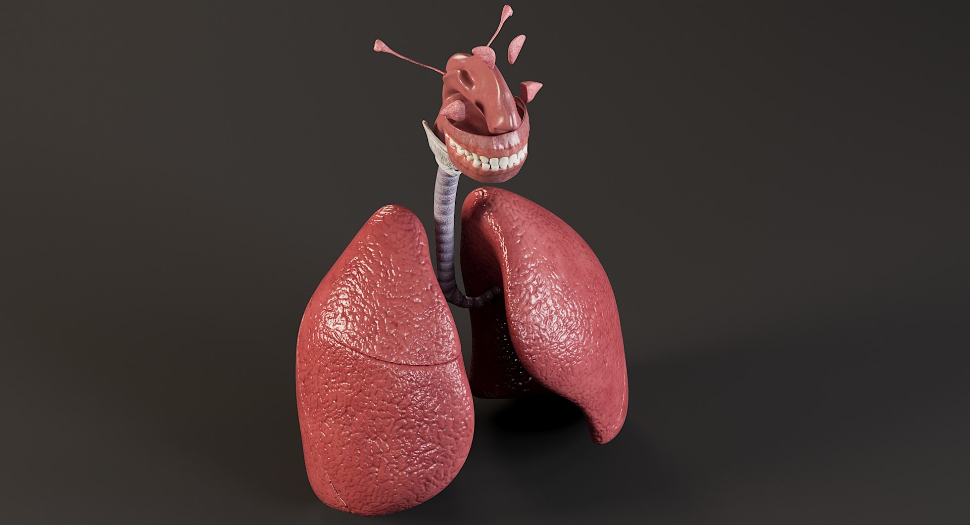 Female Complete Anatomy 3D model https://p.turbosquid.com/ts-thumb/1i/e6jopc/hg/man_respiratory_system1/jpg/1624350215/1920x1080/fit_q87/59a8e0523e10b7445365ac573ab672978ab5ac0d/man_respiratory_system1.jpg