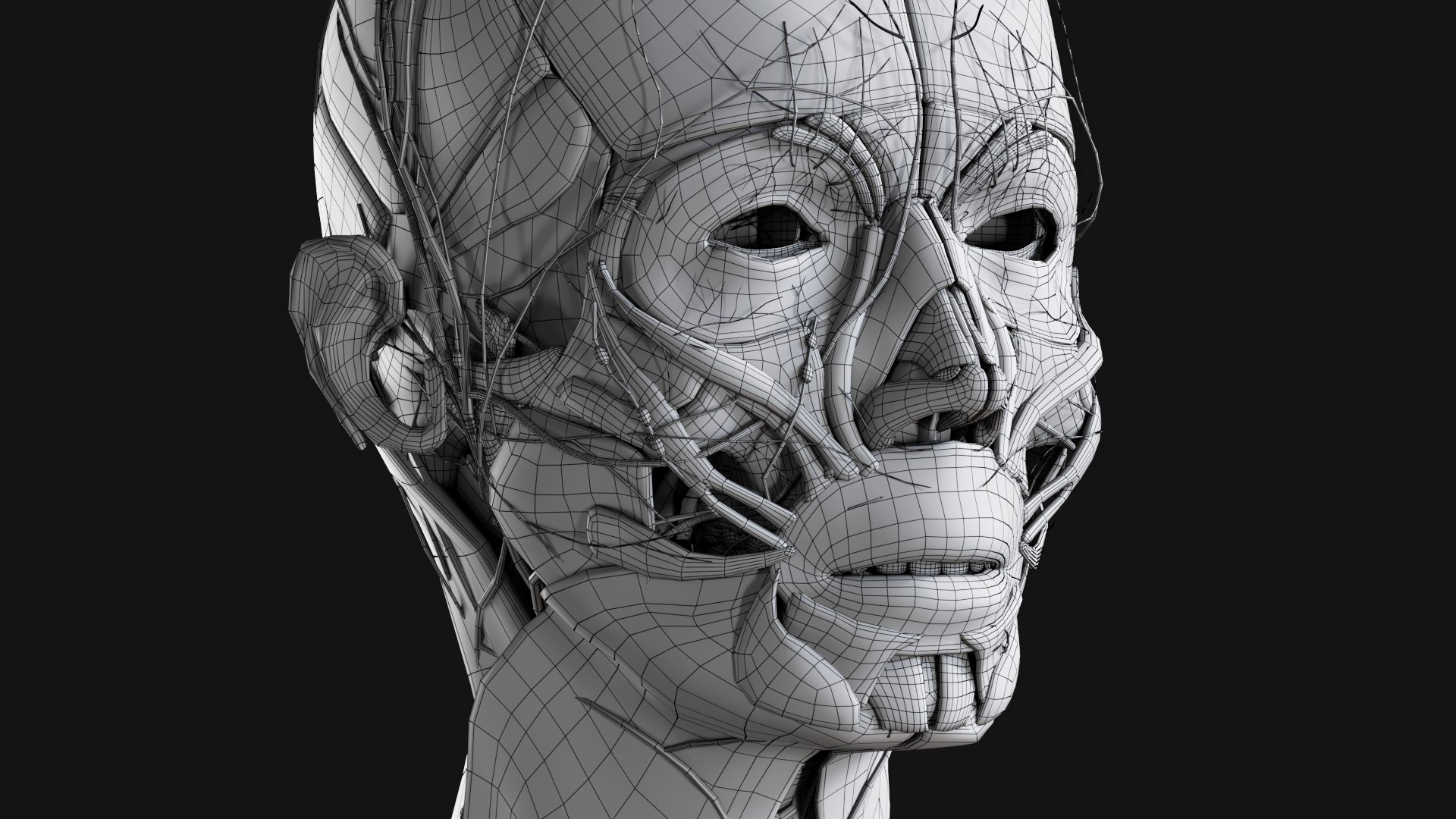 Female Complete Anatomy 3D model https://p.turbosquid.com/ts-thumb/1i/e6jopc/rv/w25/jpg/1624350423/1920x1080/fit_q87/dfbe2354e3857f4eb80d403a649be246bf0d838f/w25.jpg