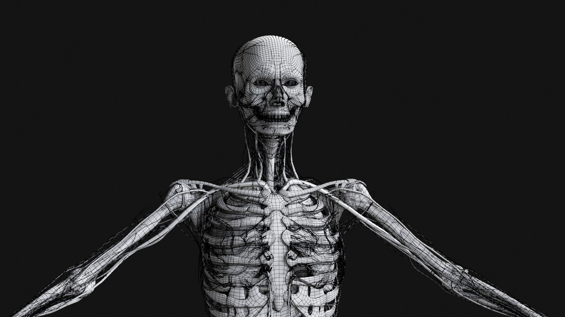 Female Complete Anatomy 3D model https://p.turbosquid.com/ts-thumb/1i/e6jopc/tz/w36/jpg/1624350673/1920x1080/fit_q87/e5e20b113b1ce61798d44e9cfb7d5599727c9b30/w36.jpg