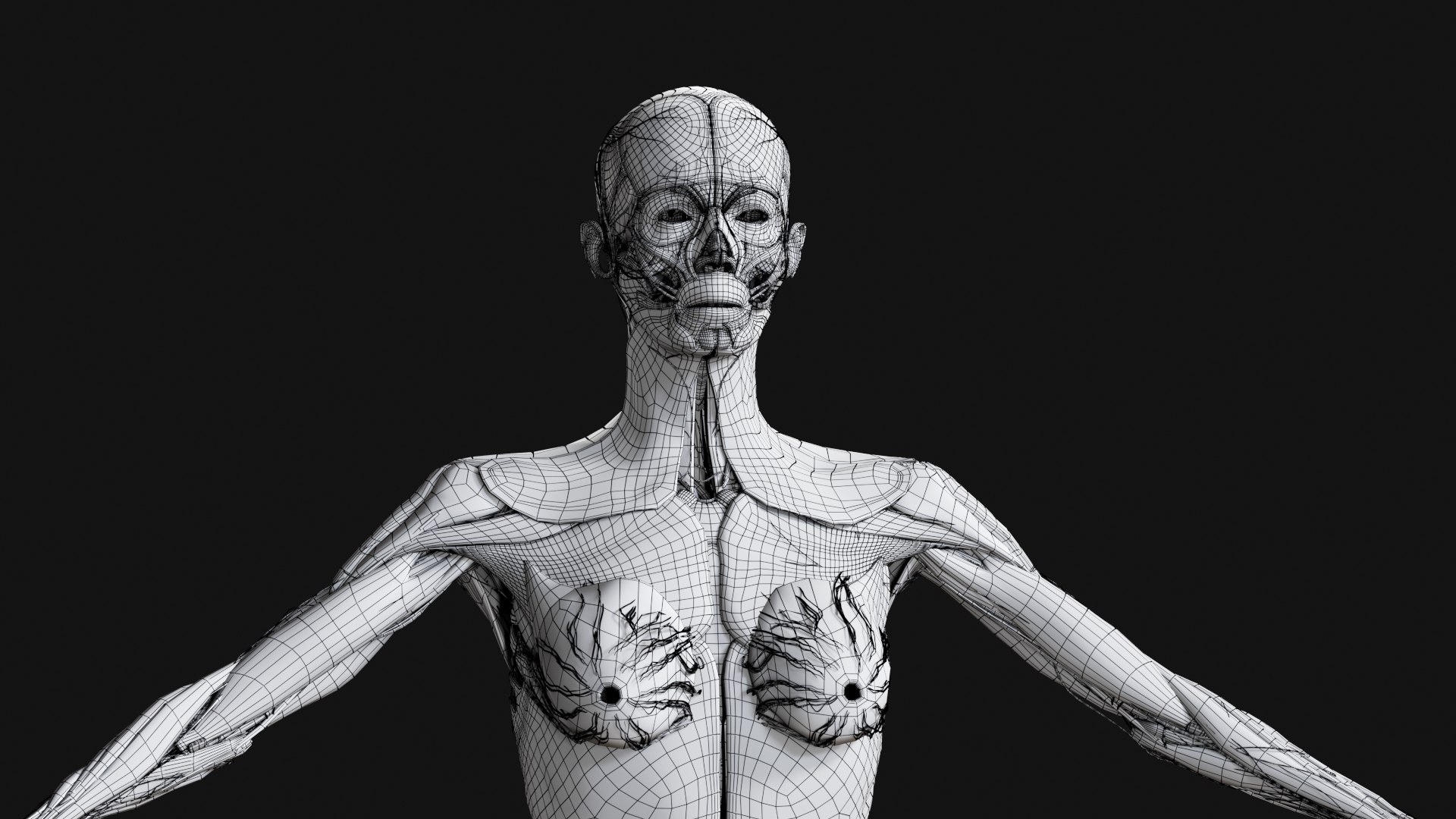 Female Complete Anatomy 3D model https://p.turbosquid.com/ts-thumb/1i/e6jopc/vH/w24/jpg/1624350420/1920x1080/fit_q87/41b30895d5640be4ee06c9dab62843b776d7bb9f/w24.jpg