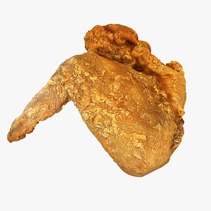 3D fried wing model