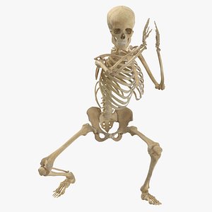 3D Real Human Female Skeleton Pose 66