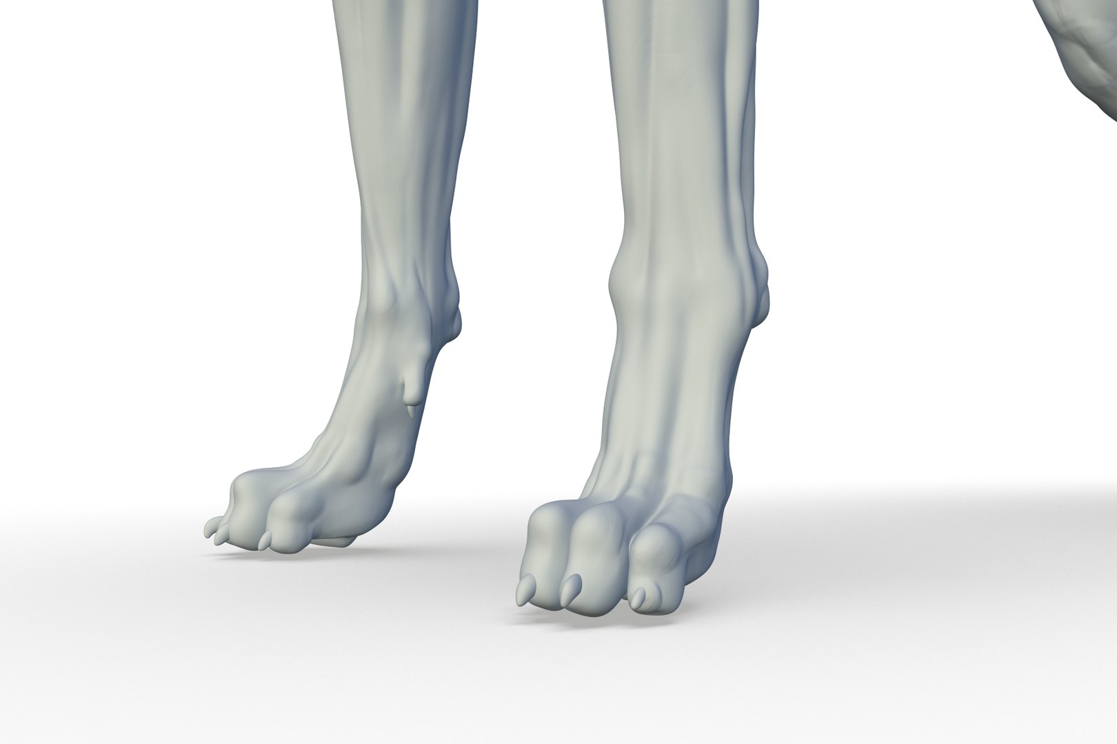 3D Model Great Dane - TurboSquid 2217262