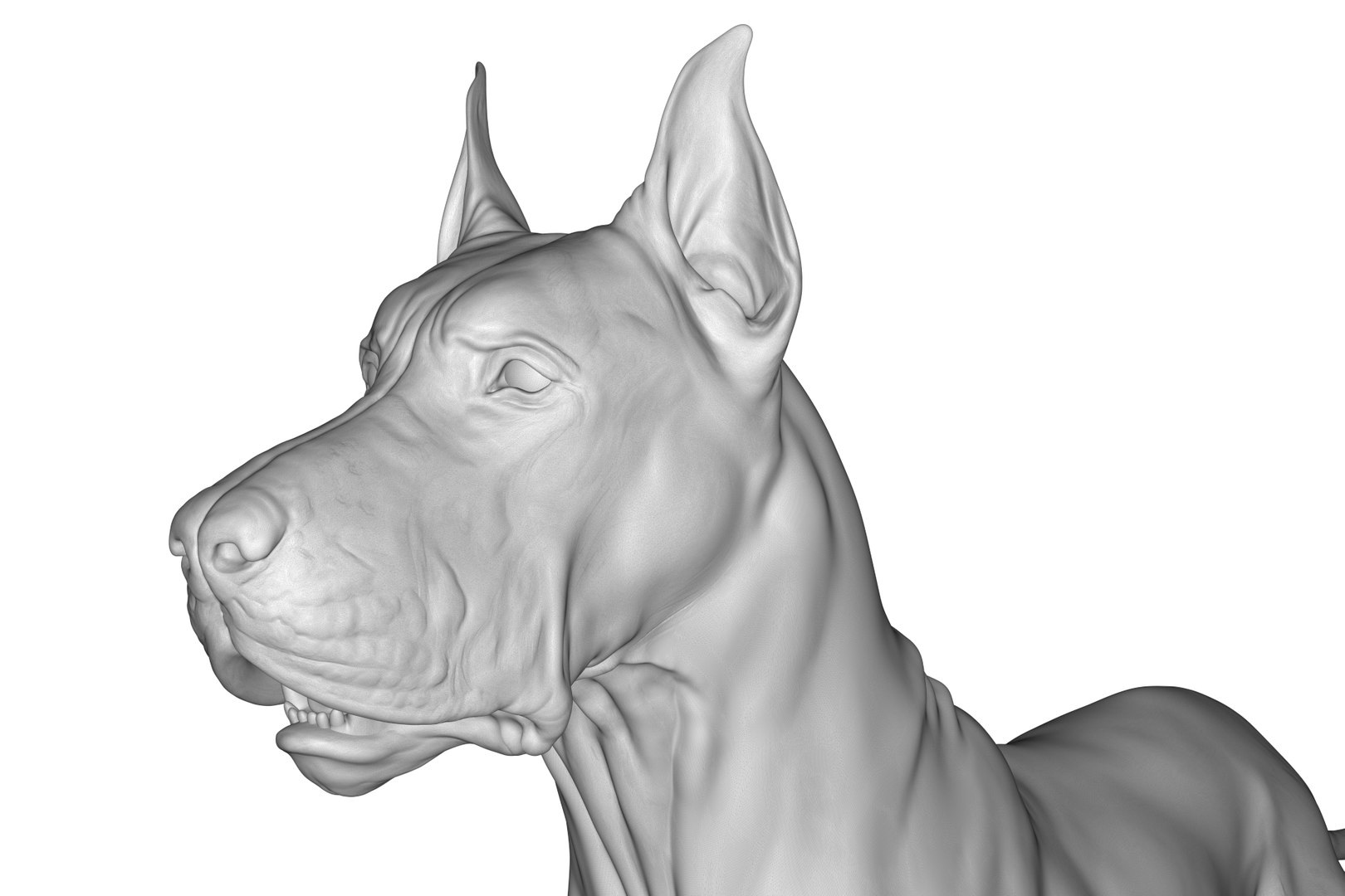 3D Model Great Dane - TurboSquid 2217262