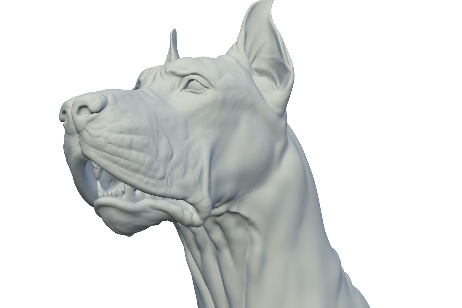 3D Model Great Dane - TurboSquid 2217262