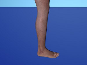 rigged leg 3d c4d