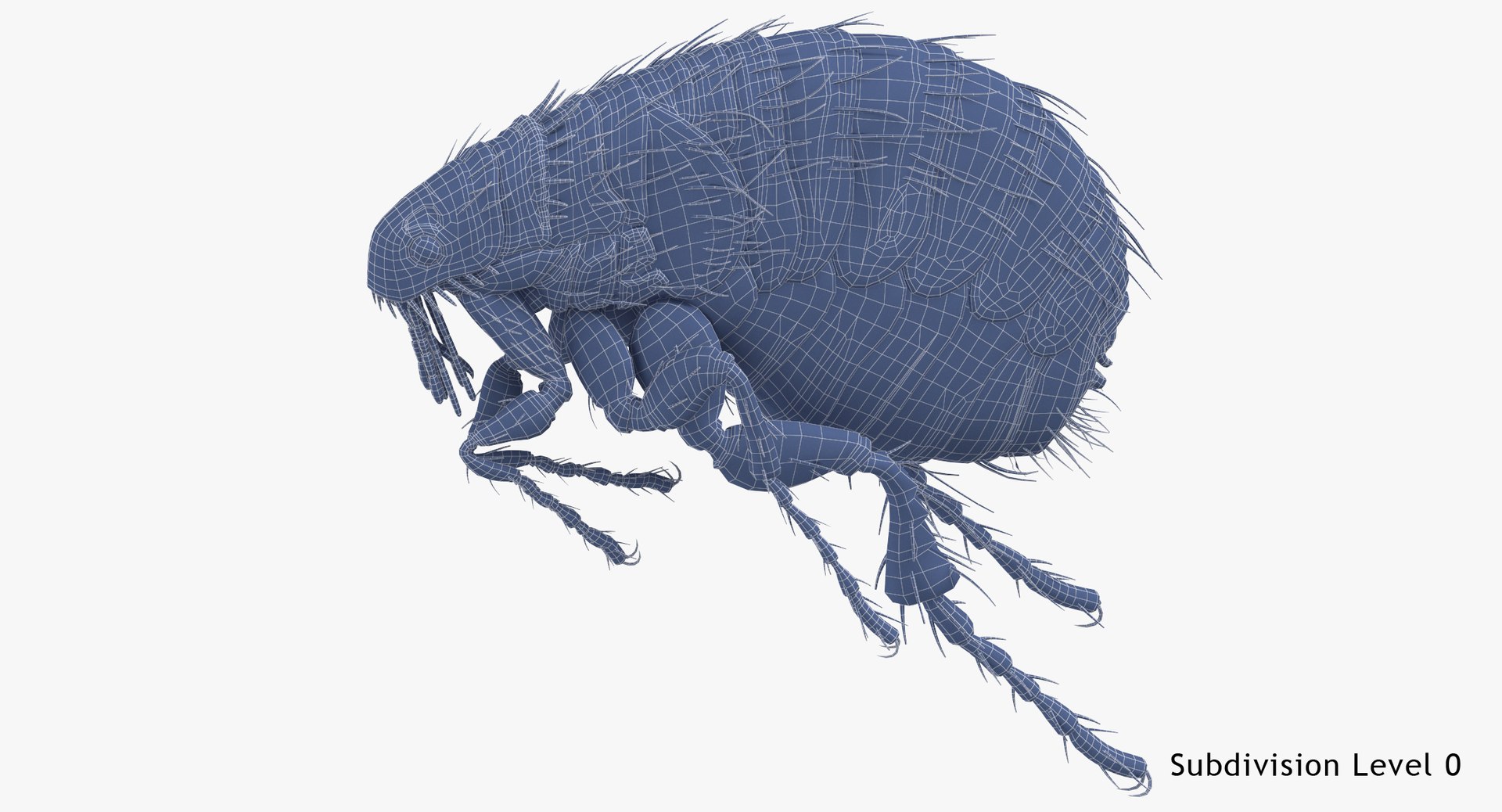 Flea Rigged 3D Model - TurboSquid 1375625
