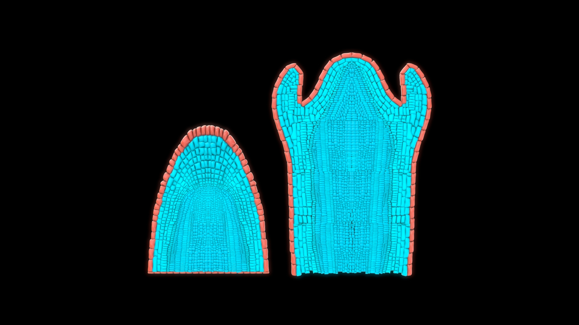 Dermatogen Cell 3D - TurboSquid 2205453