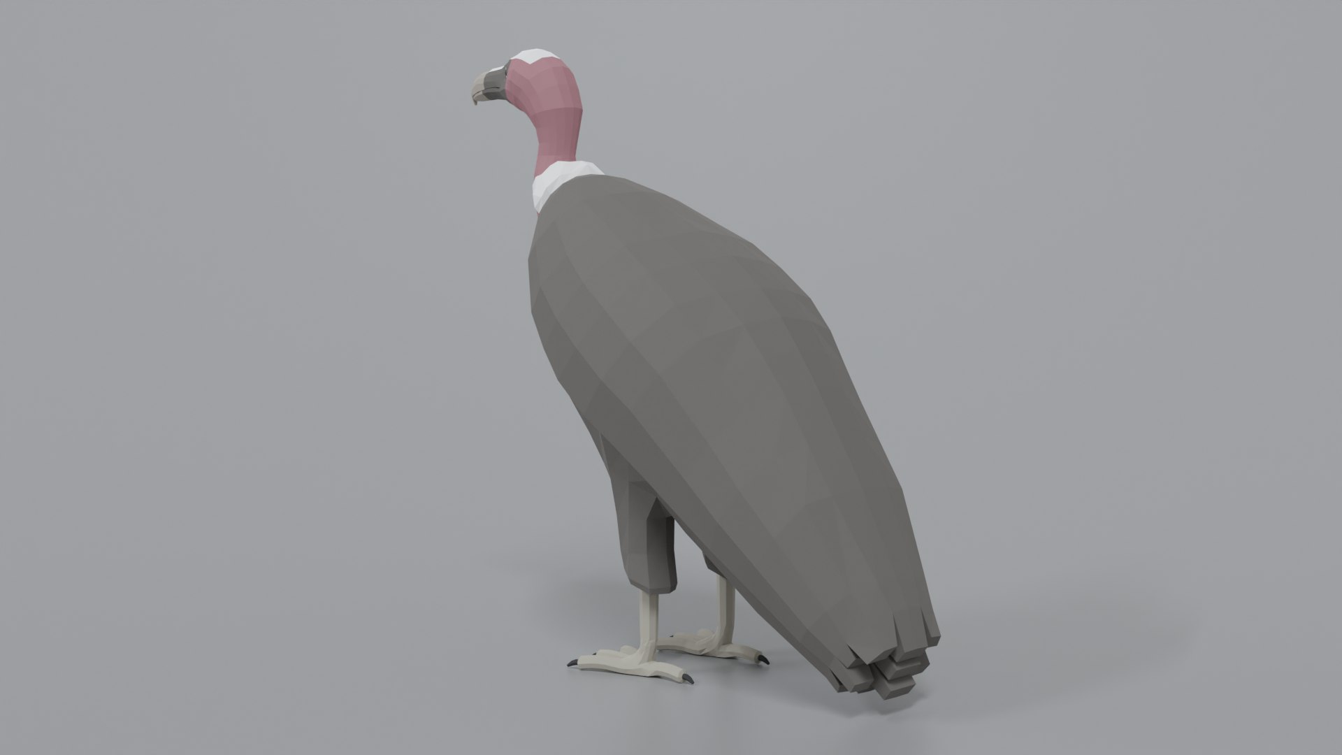 3D Vulture Blender - TurboSquid 1652542
