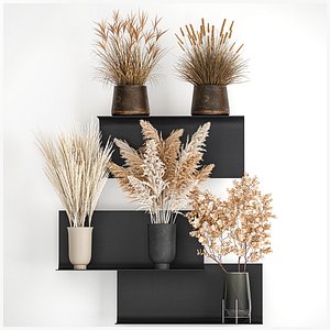 3D Collection of bouquets of dried flowers 207