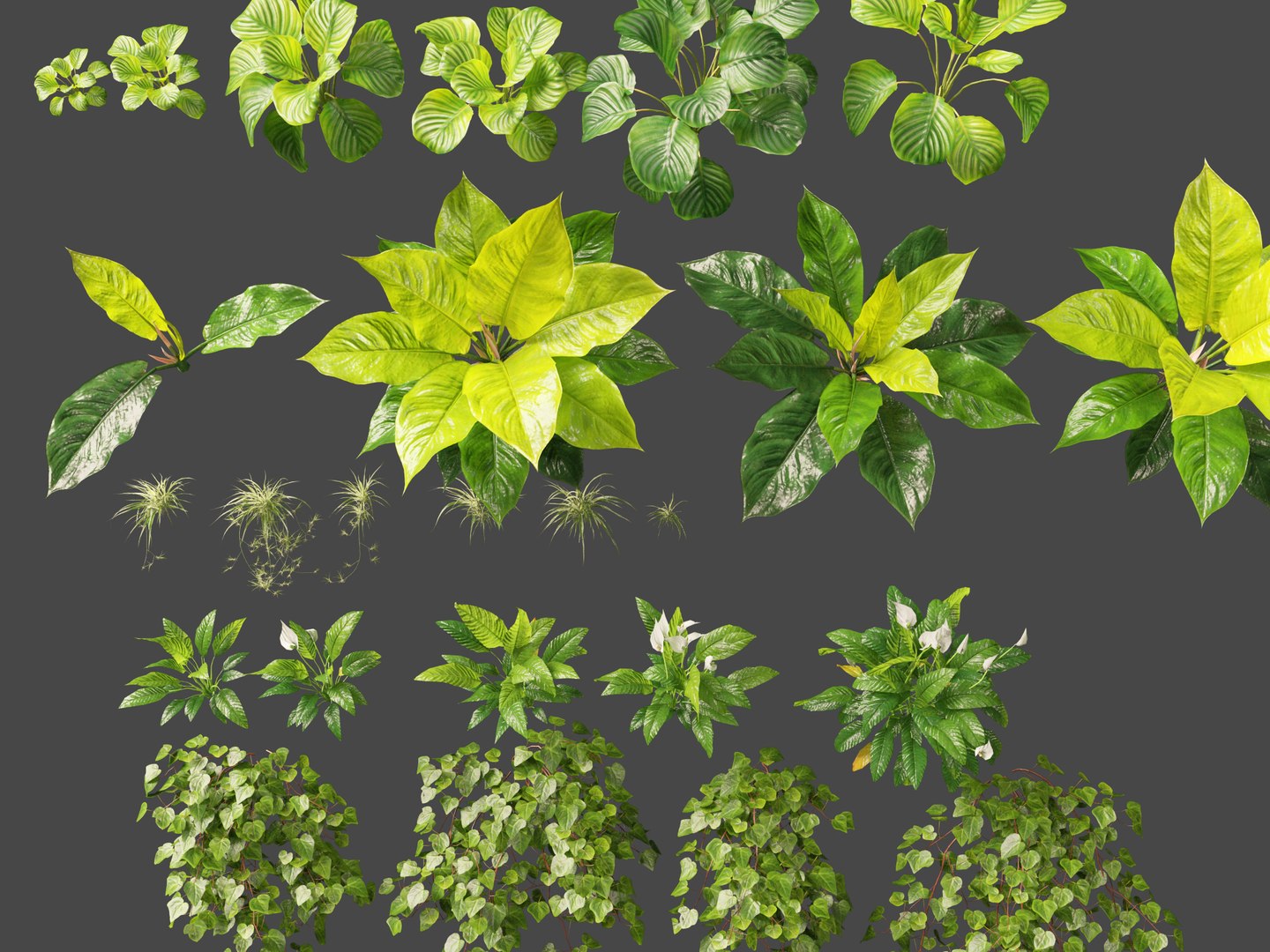 Vertical Garden - Elegant Scandi - Green Wall 3D model https://p.turbosquid.com/ts-thumb/1j/AZBDPO/2L/elegantscandigreenwall6/jpg/1778579911/1920x1080/fit_q87/e800db6b4e7baddbcad82d15570172f4fcca16ff/elegantscandigreenwall6.jpg