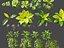 Vertical Garden - Elegant Scandi - Green Wall