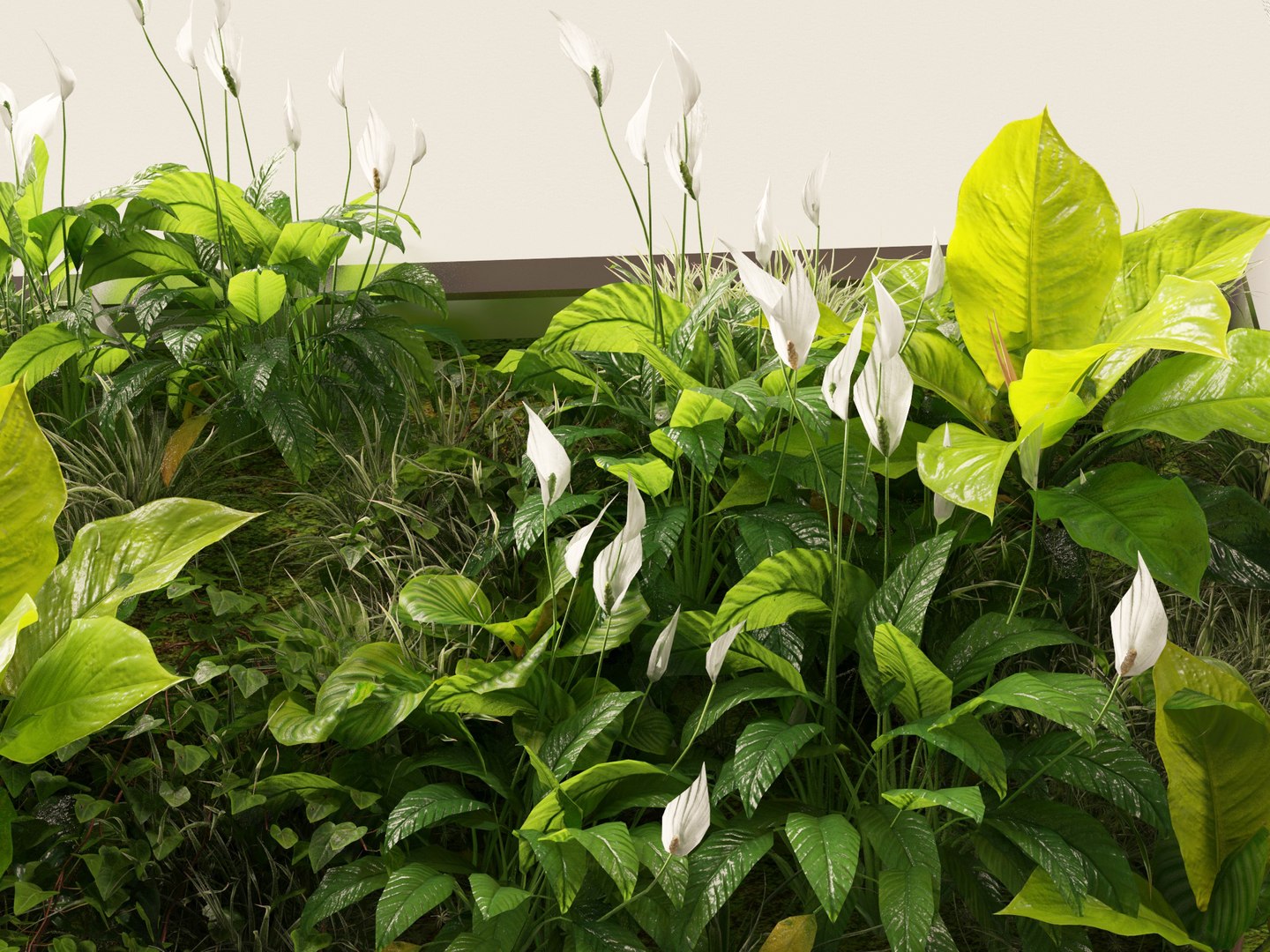 Vertical Garden - Elegant Scandi - Green Wall 3D model https://p.turbosquid.com/ts-thumb/1j/AZBDPO/AW/elegantscandigreenwall3/jpg/1778579909/1920x1080/fit_q87/83dd9a7d3631b0a0b49678a9a0c0462048da2192/elegantscandigreenwall3.jpg