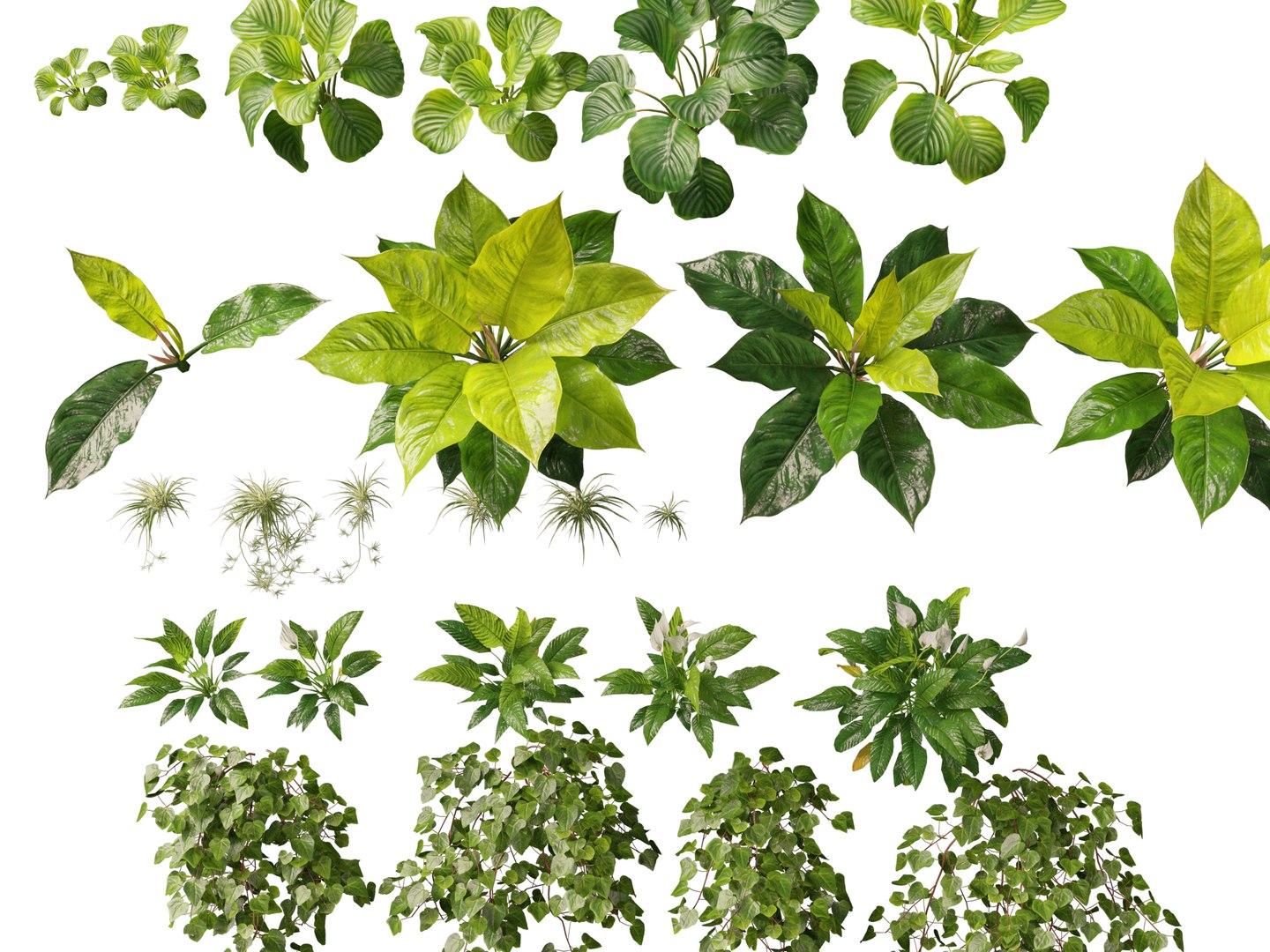 Vertical Garden - Elegant Scandi - Green Wall 3D model https://p.turbosquid.com/ts-thumb/1j/AZBDPO/b0/elegantscandigreenwall5/jpg/1778579910/1920x1080/fit_q87/6d027b1f54cf08396b5f5187cc5dc1436d4c3468/elegantscandigreenwall5.jpg