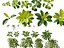 Vertical Garden - Elegant Scandi - Green Wall