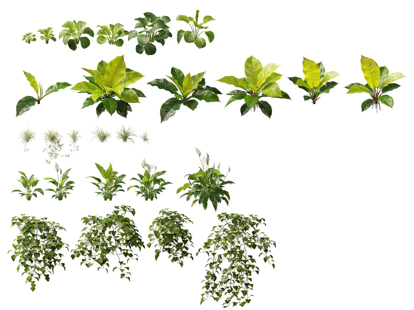 Vertical Garden - Elegant Scandi - Green Wall 3D model https://p.turbosquid.com/ts-thumb/1j/AZBDPO/oD/elegantscandigreenwall4/jpg/1778579908/1920x1080/fit_q87/f5e0d453ca8dc12e3378cb9b066497075012925d/elegantscandigreenwall4.jpg