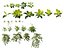 Vertical Garden - Elegant Scandi - Green Wall