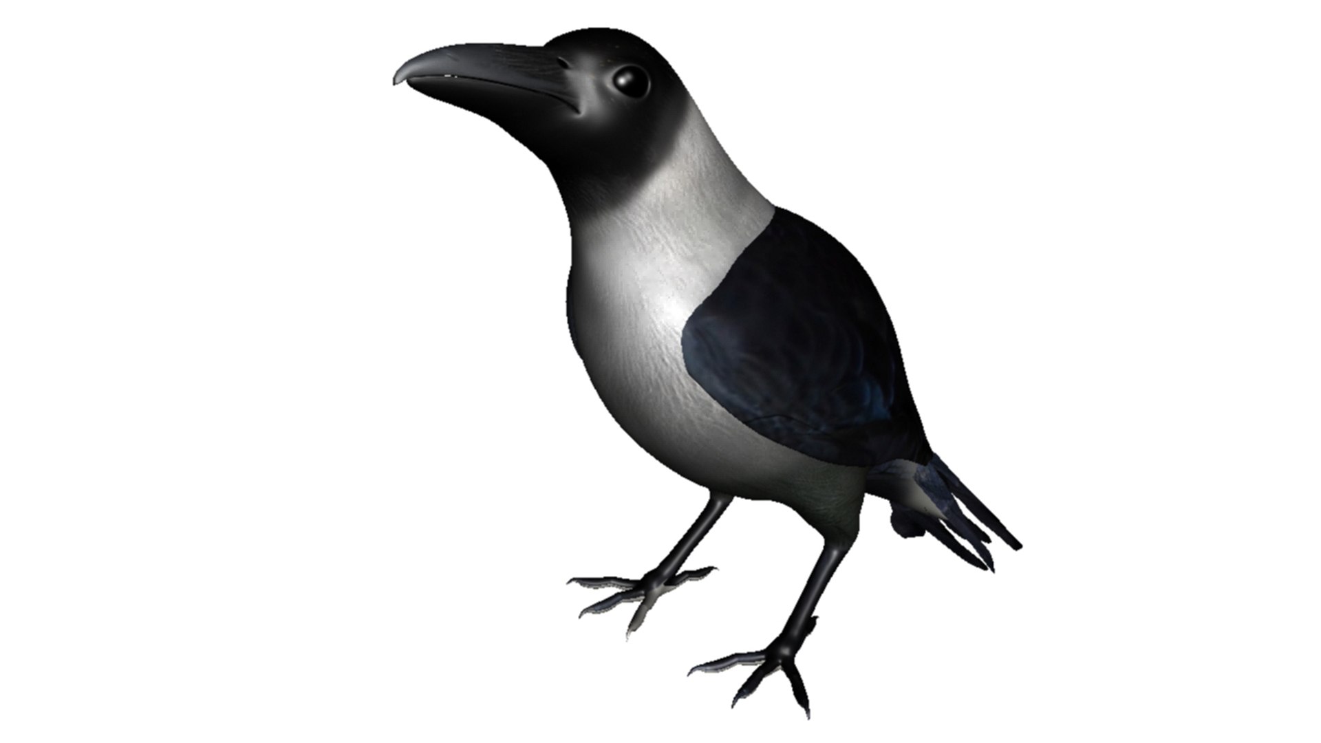 Crow Obj