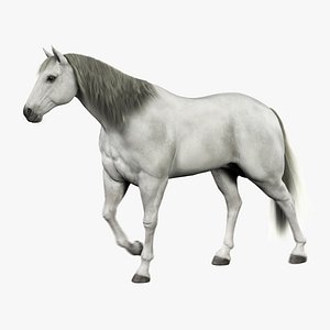 Horse (White) (Animated) (Fur)