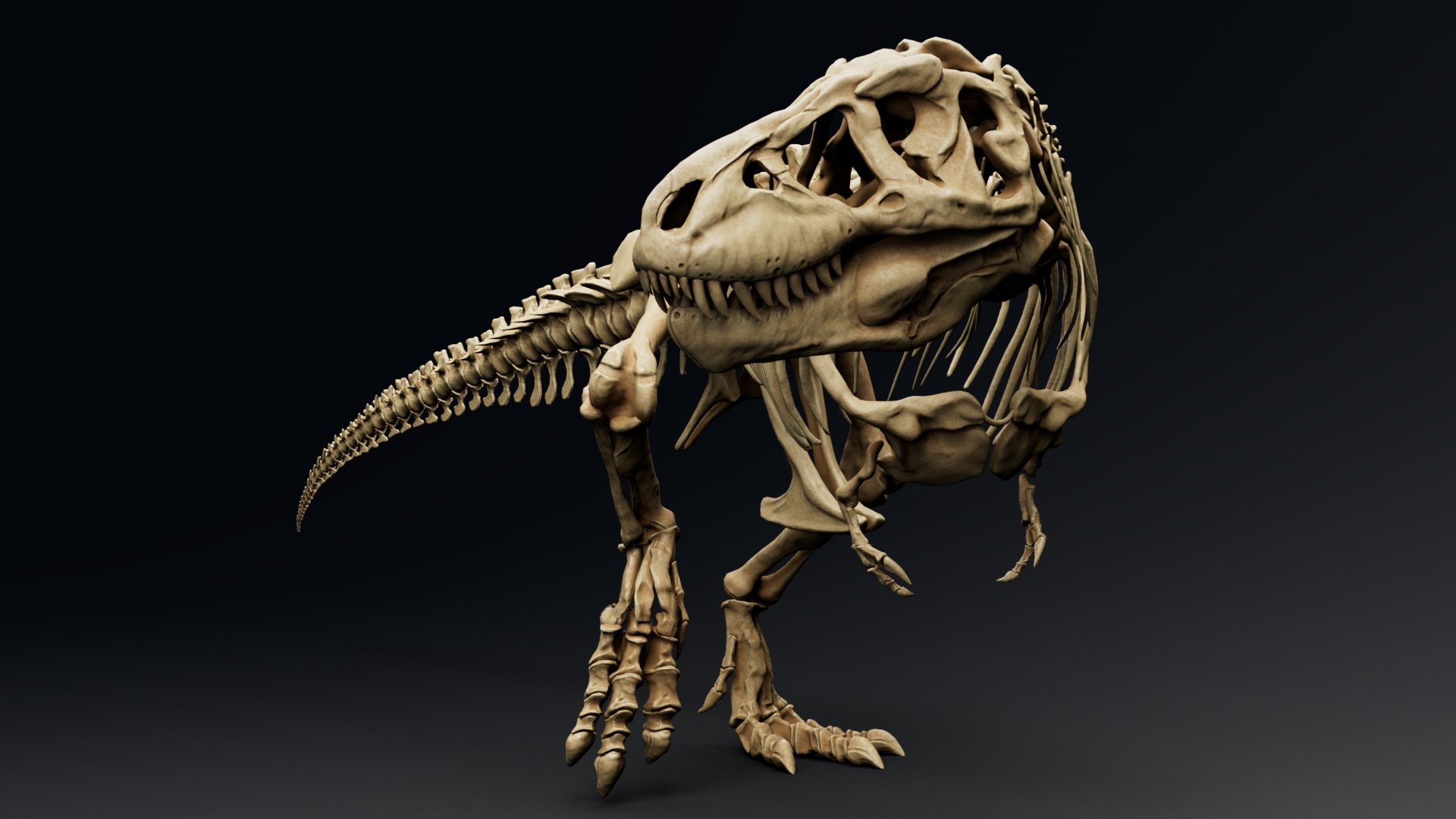 Trex Sue Skeleton Unreal Engine - Unity Projects 3D model https://p.turbosquid.com/ts-thumb/1j/N27PhG/02/z029/jpg/1710168822/1920x1080/fit_q87/5126e2921dd4b83ef193a89465459cd521f69c32/z029.jpg