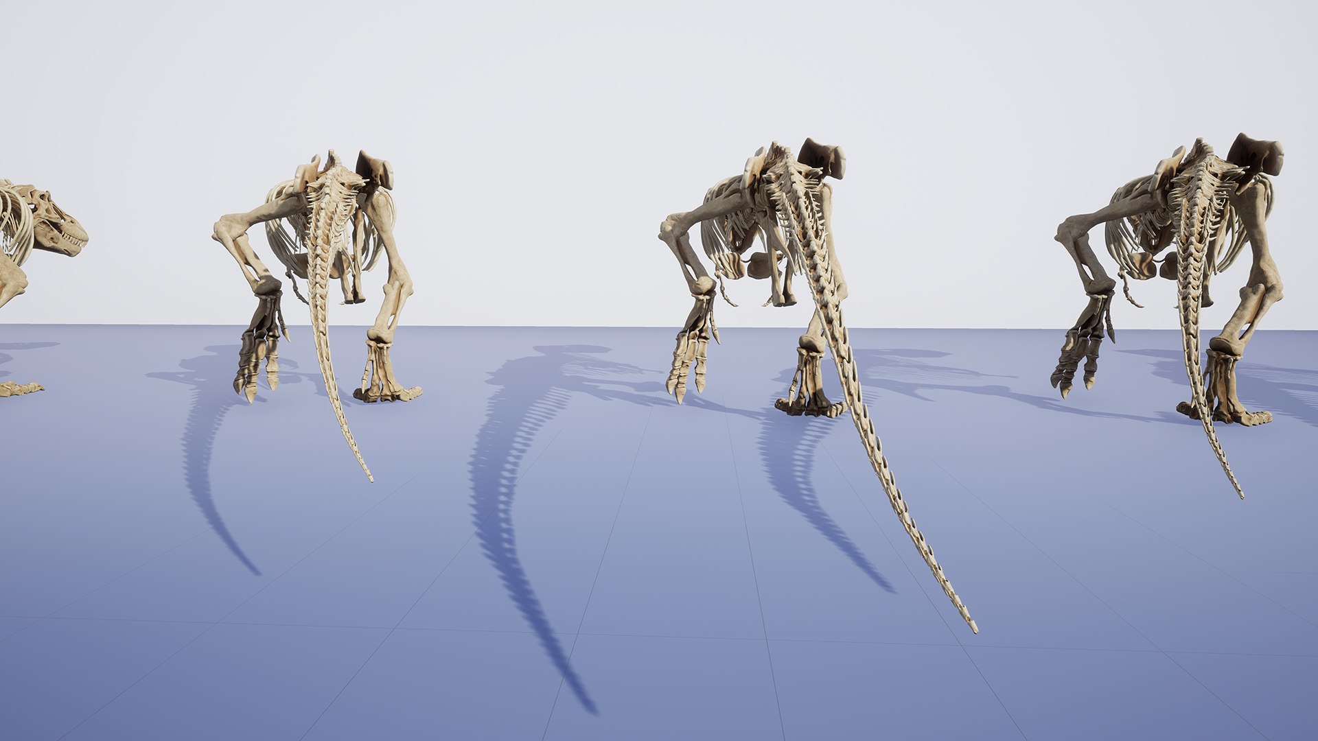Trex Sue Skeleton Unreal Engine - Unity Projects 3D model https://p.turbosquid.com/ts-thumb/1j/N27PhG/1N/unreal_012/jpg/1710168829/1920x1080/fit_q87/a81ed09bb270a66a8dc70a8472e2fc2a6ba8e87b/unreal_012.jpg