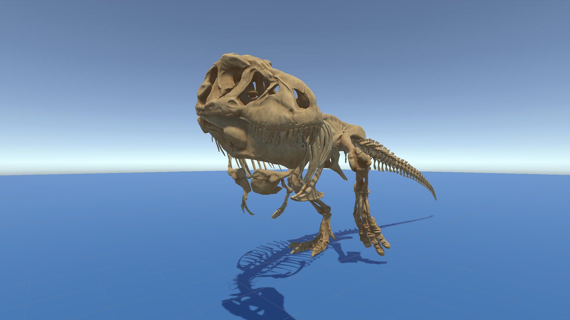 Trex Sue Skeleton Unreal Engine - Unity Projects 3D model https://p.turbosquid.com/ts-thumb/1j/N27PhG/Nc/unty_001/jpg/1710168831/1920x1080/fit_q87/e141b327166c843cc6daf4033aa362780c2ed617/unty_001.jpg