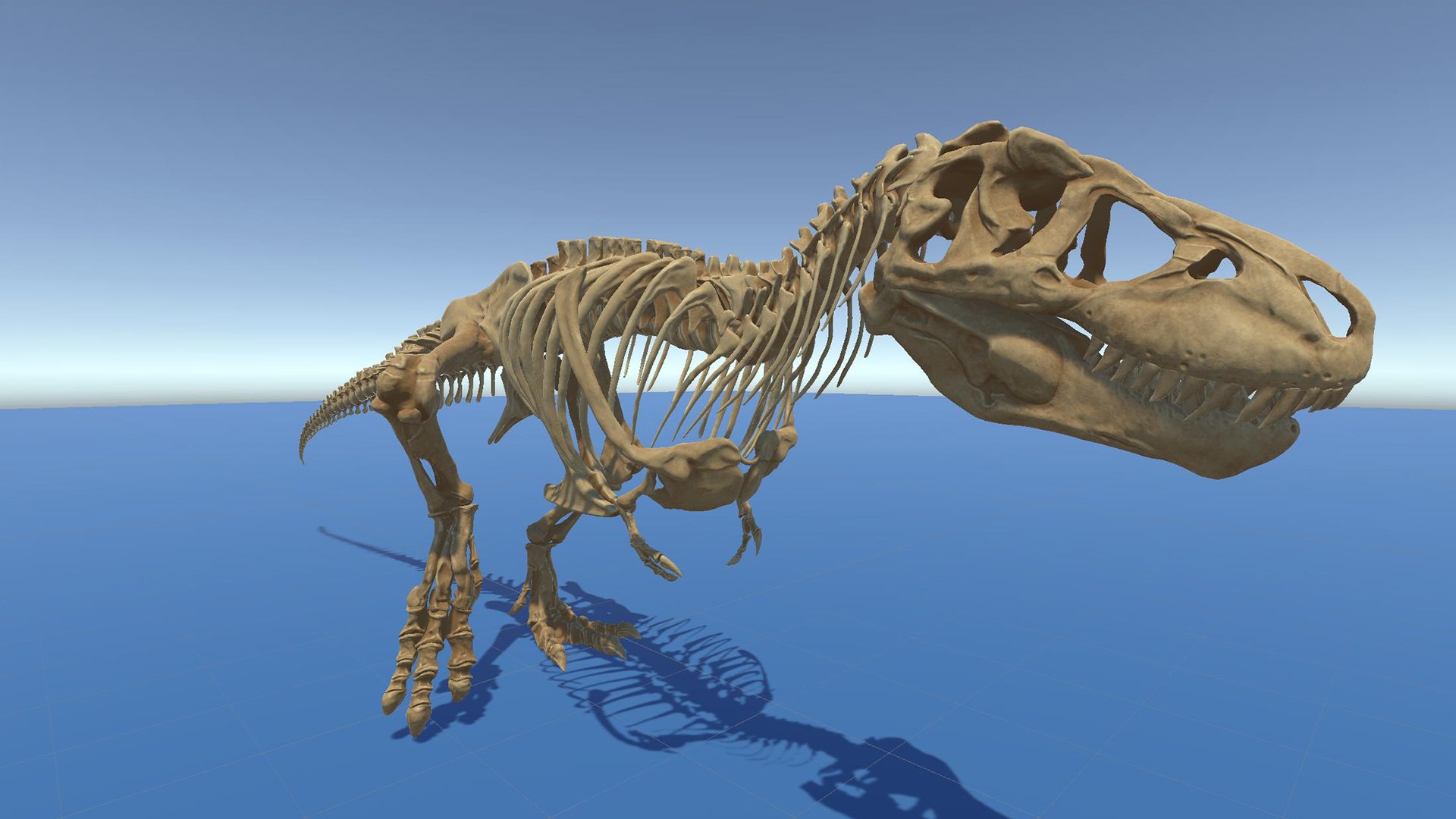 Trex Sue Skeleton Unreal Engine - Unity Projects 3D model https://p.turbosquid.com/ts-thumb/1j/N27PhG/WQ/unty_010/jpg/1710168835/1920x1080/fit_q87/9017b21675d11a88671e4c2a1966982a27e76230/unty_010.jpg