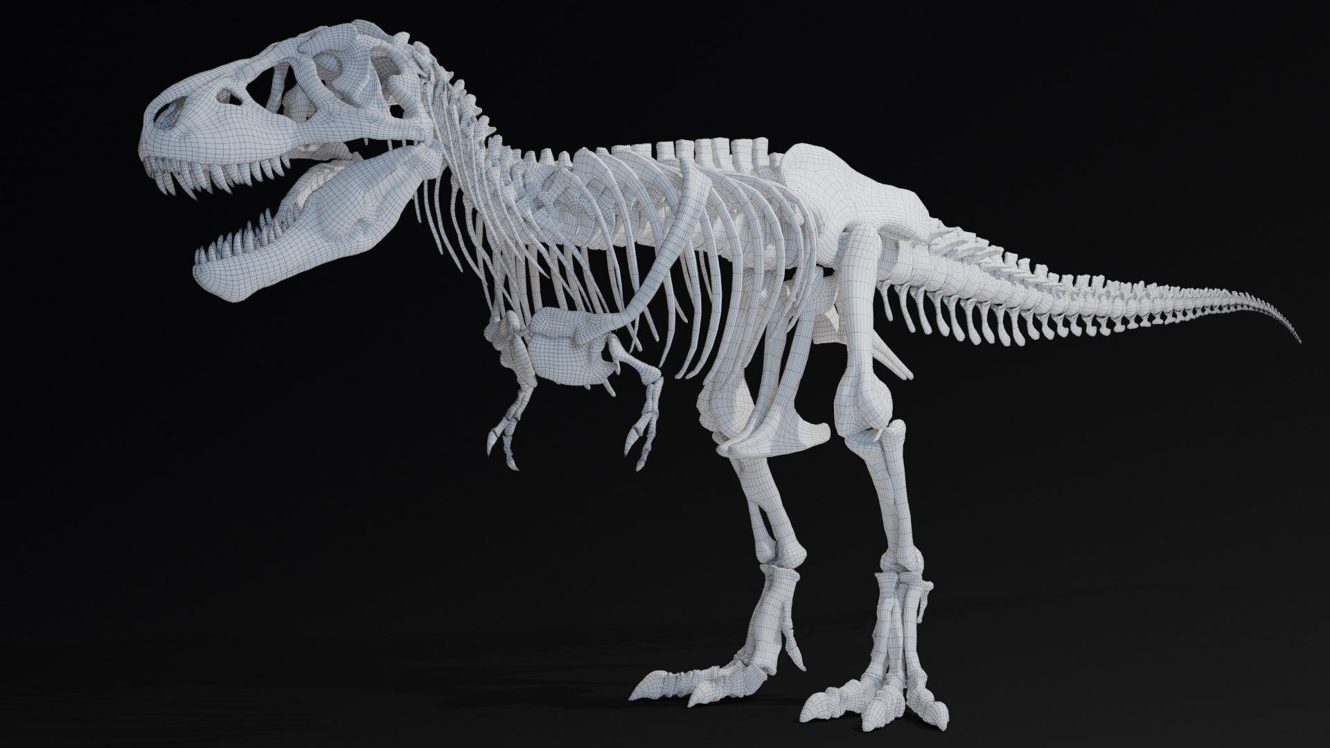 Trex Sue Skeleton Unreal Engine - Unity Projects 3D model https://p.turbosquid.com/ts-thumb/1j/N27PhG/ZQ/z049/jpg/1710168906/1920x1080/fit_q87/e99774d95801734ec4c7159333ff476e26f543d2/z049.jpg