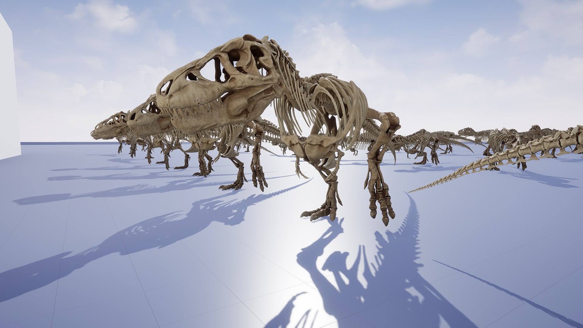 Trex Sue Skeleton Unreal Engine - Unity Projects 3D model https://p.turbosquid.com/ts-thumb/1j/N27PhG/eI/unreal_010/jpg/1710168828/1920x1080/fit_q87/ced33410ce1b50c0d00c5c247069370982238e1a/unreal_010.jpg