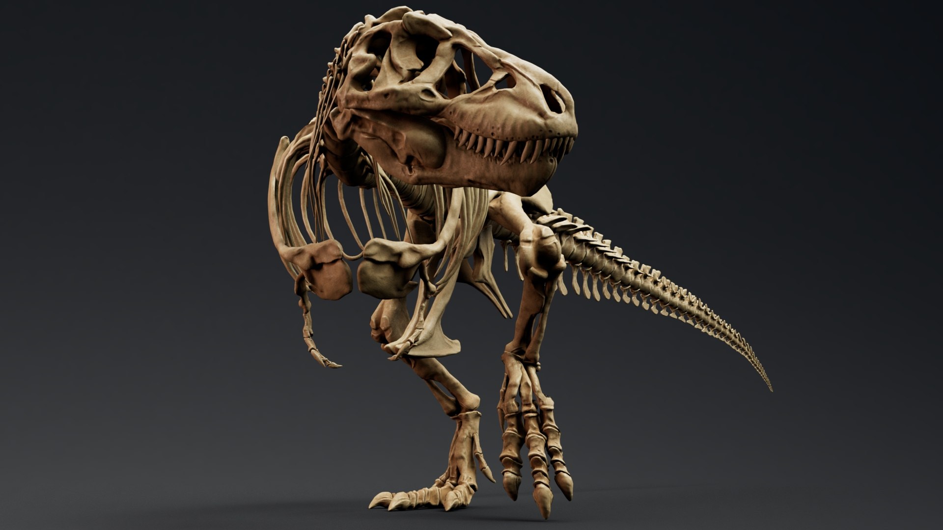 Trex Sue Skeleton Unreal Engine - Unity Projects 3D model https://p.turbosquid.com/ts-thumb/1j/N27PhG/oW/z026/jpg/1710168821/1920x1080/fit_q87/e874336f75dca3b503e685cb05d87c5b74da3415/z026.jpg