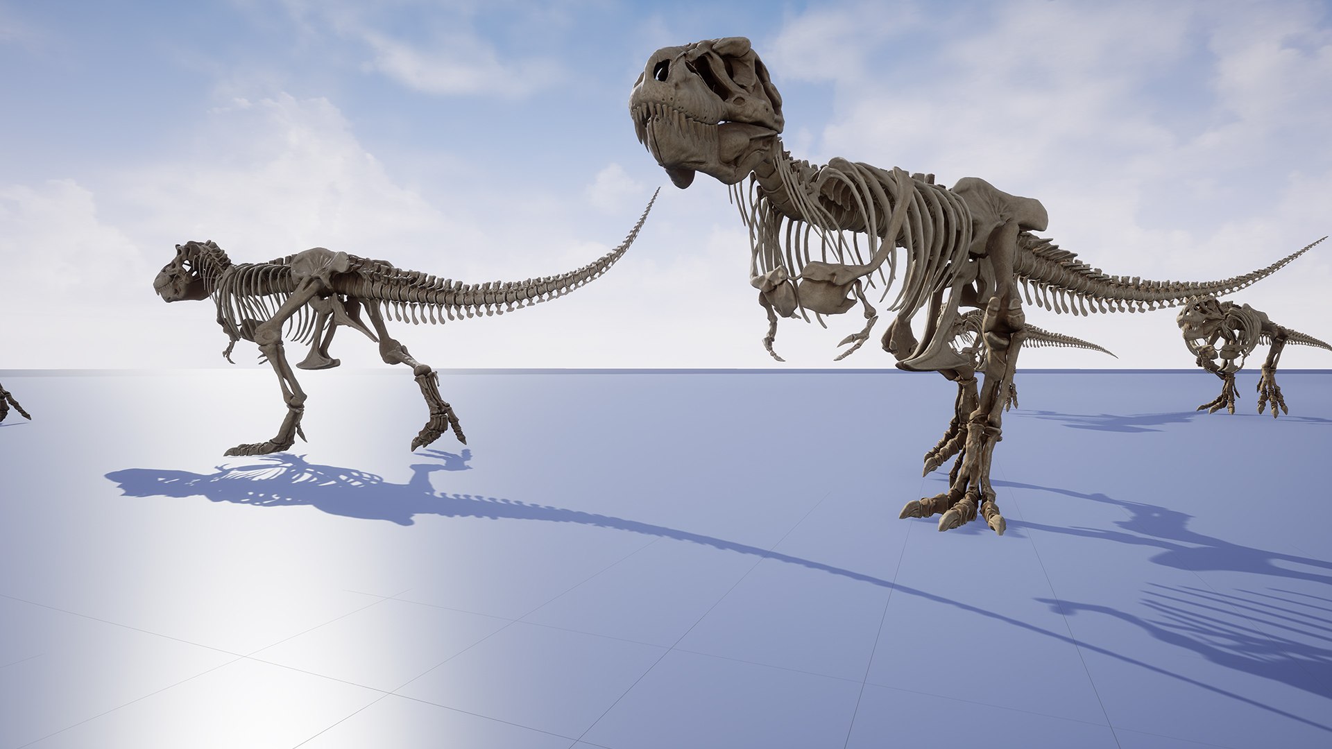 Trex Sue Skeleton Unreal Engine - Unity Projects 3D model https://p.turbosquid.com/ts-thumb/1j/N27PhG/qC/unreal_014/jpg/1710168830/1920x1080/fit_q87/972cf2c6b95049146490f14a2f572ed1b244b63f/unreal_014.jpg
