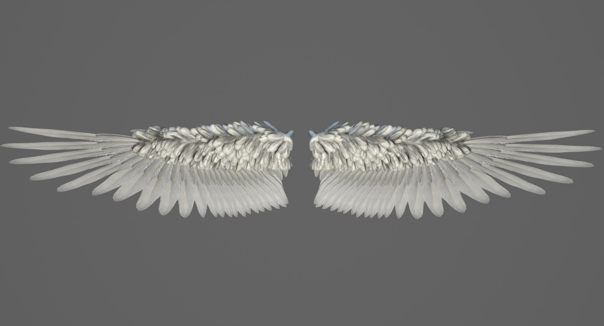 3D Realistic Angel Wings - TurboSquid 1565911